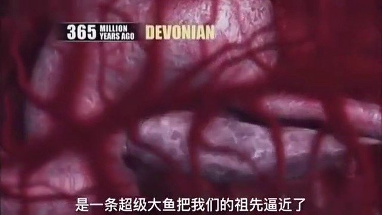 40亿年前我们的祖先还是一条鱼!人类伟大的进化史啊&nbsp;&nbsp;